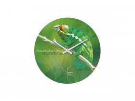 Часы настенные Nicole Time NT503 в Кожурле - kozhurla.mebel-nsk.ru | фото